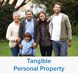 A large familing smiling. Links to Tangible Personal Property
